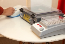 Lanzan en Chile innovador microscopio con IA que analiza la miel en minutos y detecta enfermedades