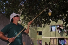SAG culmina trabajos en campaña mosca de la fruta de Cerro Navia