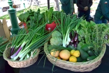 Inicio escolar verde: SAG promueve el consumo de productos orgánicos entre estudiantes