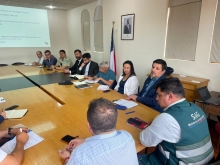 SAG confirma caso positivo a influenza aviar en la región de Coquimbo