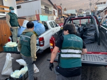 Decomisan cerca de 5 toneladas de productos clandestinos en casas de Iquique