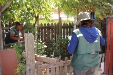 SAG informa campaña de control y erradicación de mosca de la fruta en la comuna de La Granja