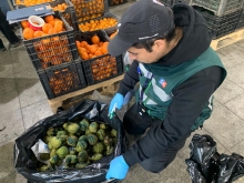 Productos decomisados