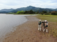 SAG confirma primer caso de influenza aviar altamente patógena en ave silvestre en la Región de Aysén