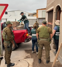SAG Tarapacá desbarata centro de acopio de productos agropecuarios de ingreso clandestino en Alto Hospicio