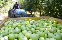 webinar agrícola
