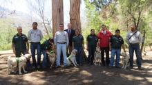 El Subsecretario de Agricultura, Álvaro Cruzat, junto al Director Nacional del Servicio Agrícola y Ganadero (SAG), Anibal Ariztía, encabezaron la graduación de los cinco nuevos equipos de dicho servicio compuestos por guías y perros detectores, quienes tendrán la misión de trabajar en los controles fronterizos del país ayudando a hacer cada vez más eficiente la inspección de personas y vehículos que ingresan al país. Evento al que también asistió el Seremi del Valparaíso, Francesco Venezian, y el Director