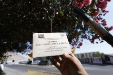 SAG llama a la ciudadanía colaborar en la campaña de mosca de la fruta en Los Andes