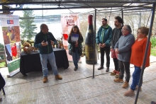 Siete comunas de Biobío se incorporan a zonificación vitivinícola